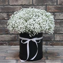 Цветочная композиция из Гипсофила в шляпной коробке #REPLACE_PRED# Полевском Свердловская область